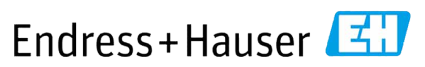Endress Hauser Systems Integrator Endress Hauser Systems Integrator